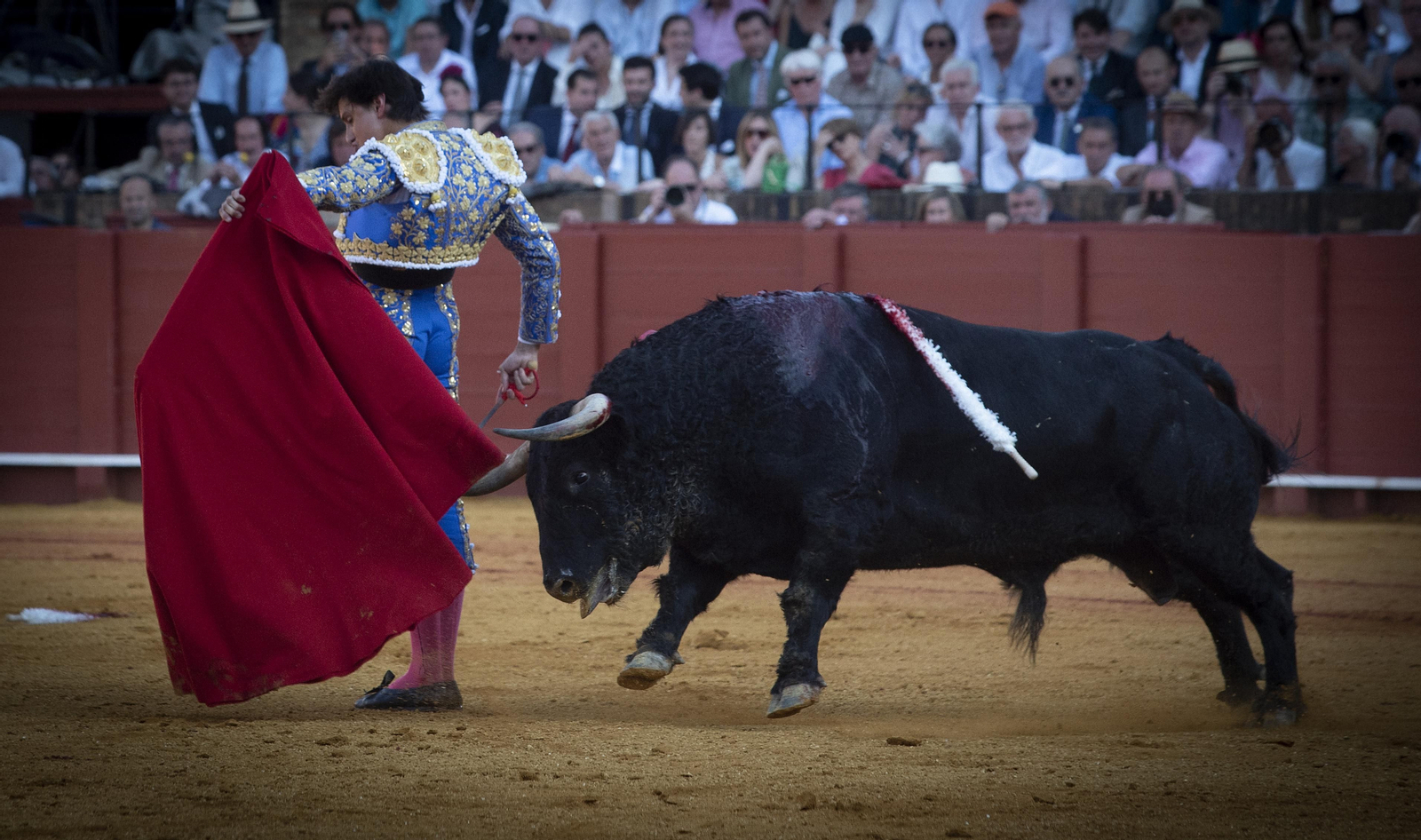 Las mejores imágenes del duodécimo festejo de toros