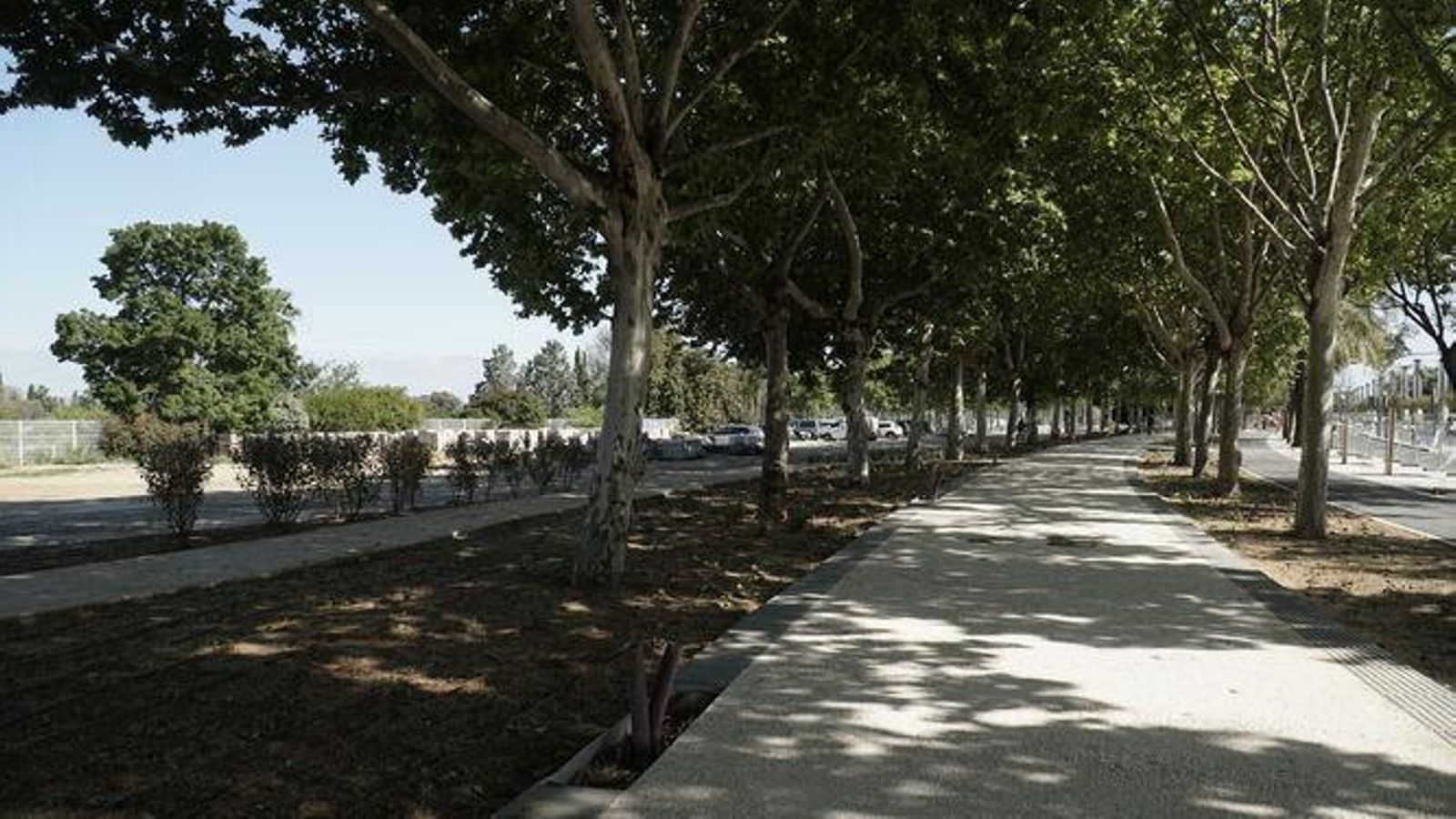 La nueva fisonomía del paseo de Torneo en el tramo más próximo a la pasarela de la Cartuja.