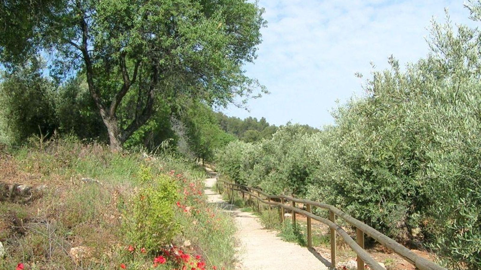 El Parque Periurbano de El Neveral es idóneo para rutas de senderismo. El Parque Periurbano de El Neveral es idóneo para rutas de senderismo.
