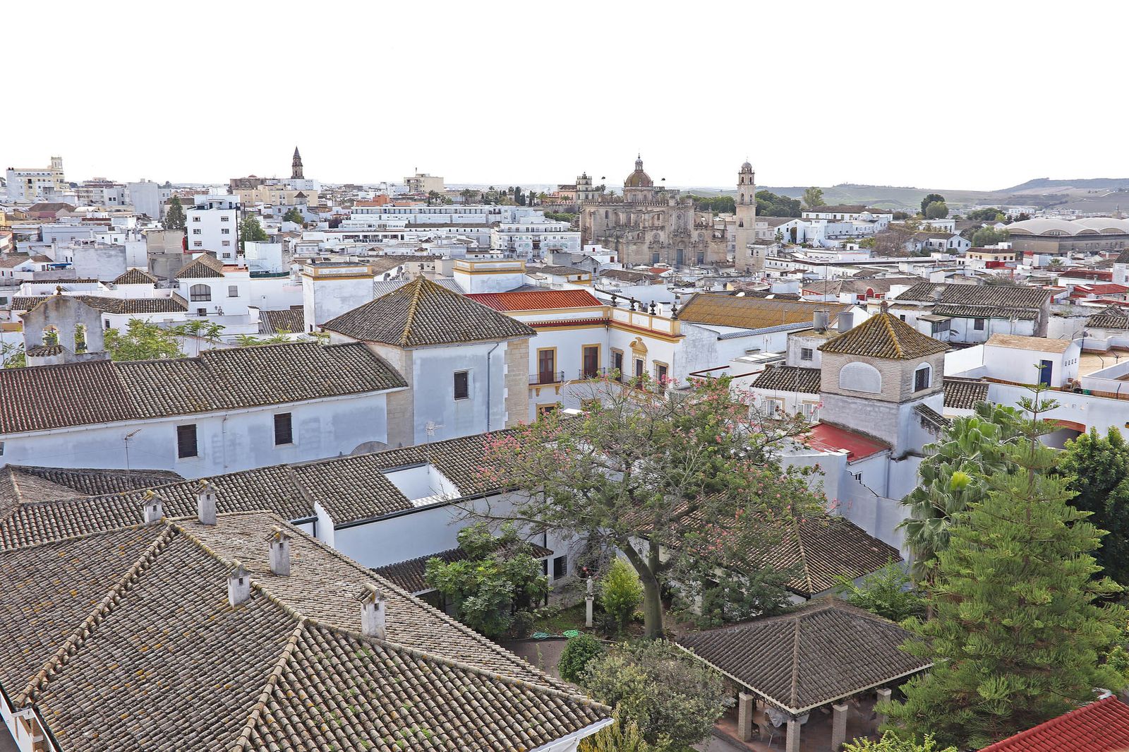 Vista de Jerez, desde San Juan de los Caballeros.