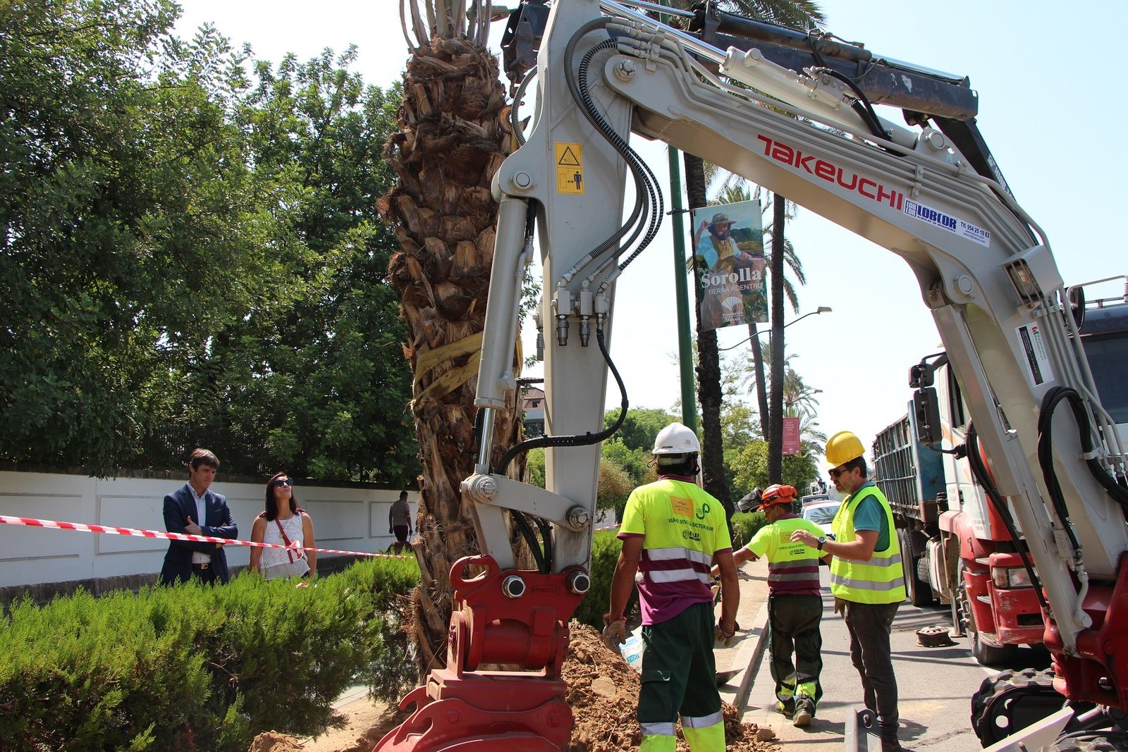 Ciudadanos tilda de "nefasta" la gestión del arbolado por parte del Gobierno municipal
