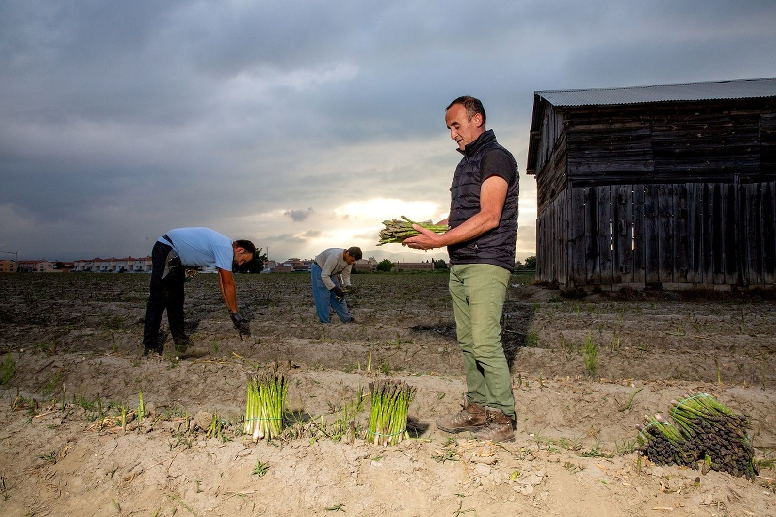 Finca Los Gallombares.