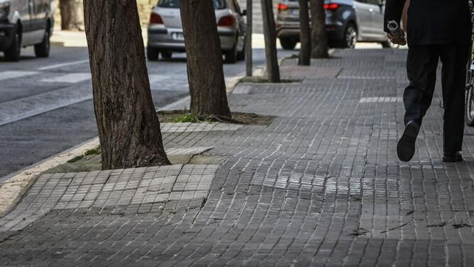 Acerado levantado por las raíces de los árboles en una imagen de archivo.