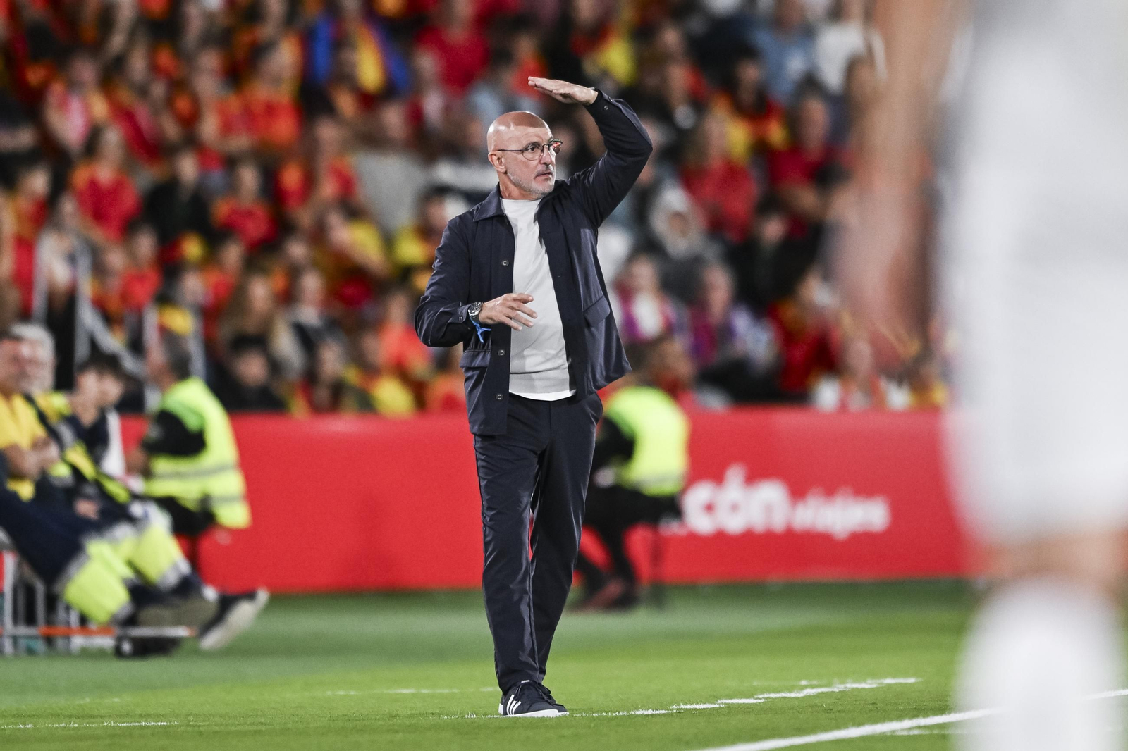 Las mejores fotos del España-Georgia