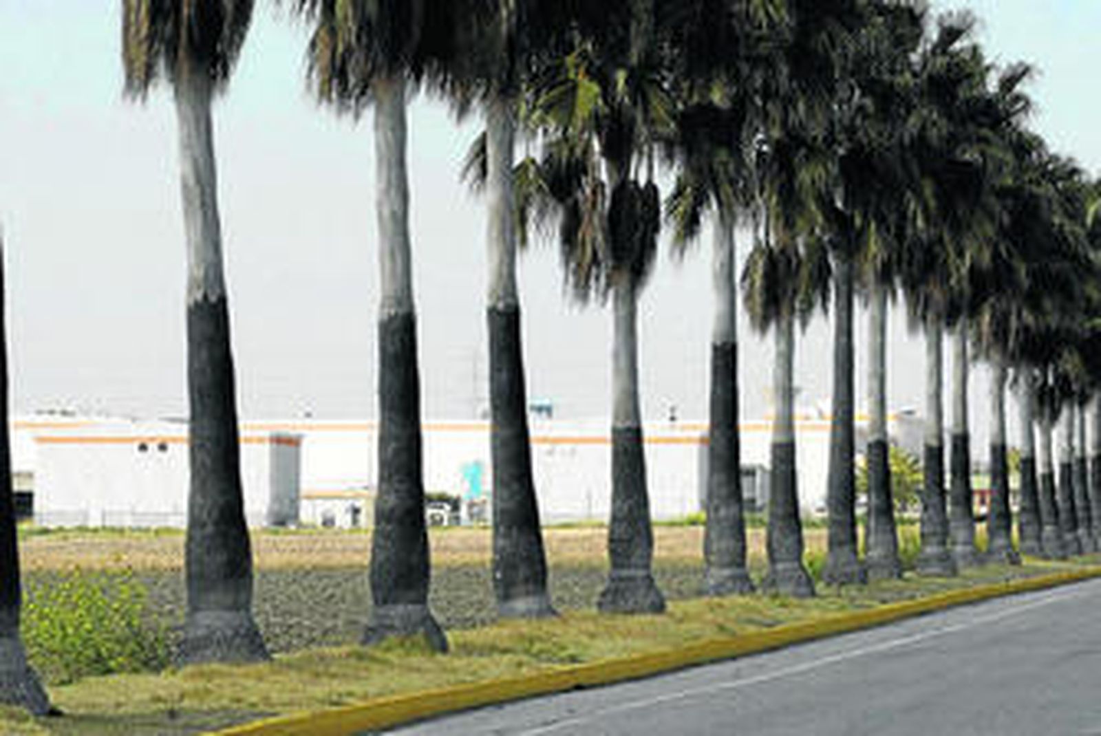 Entrada principal a la antigua fábrica de Cádiz Electrónica, en El Puerto.