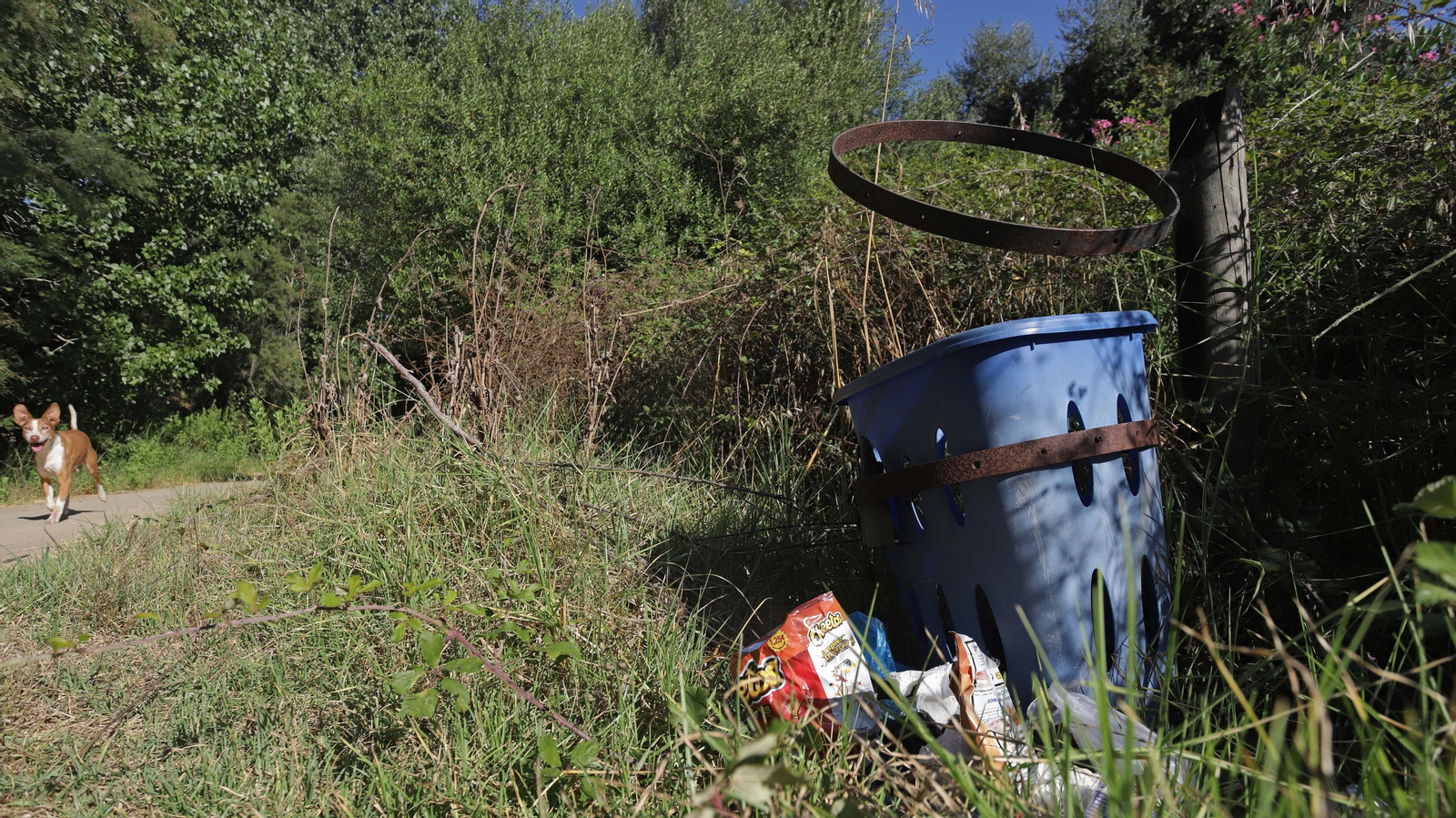 Fotos de los desperfectos del parque del río Pícaro en Algeciras