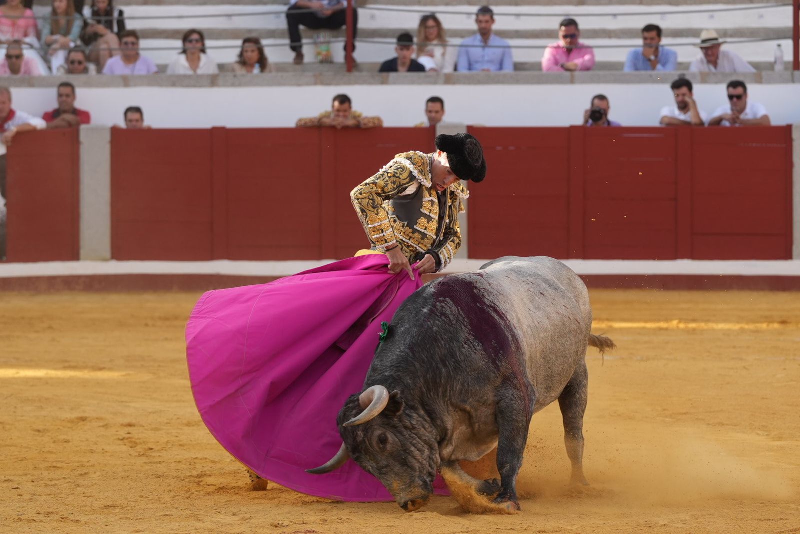 La corrida de toros de Ferrera, Escribano y Lamelas en Pozoblanco, en imágenes