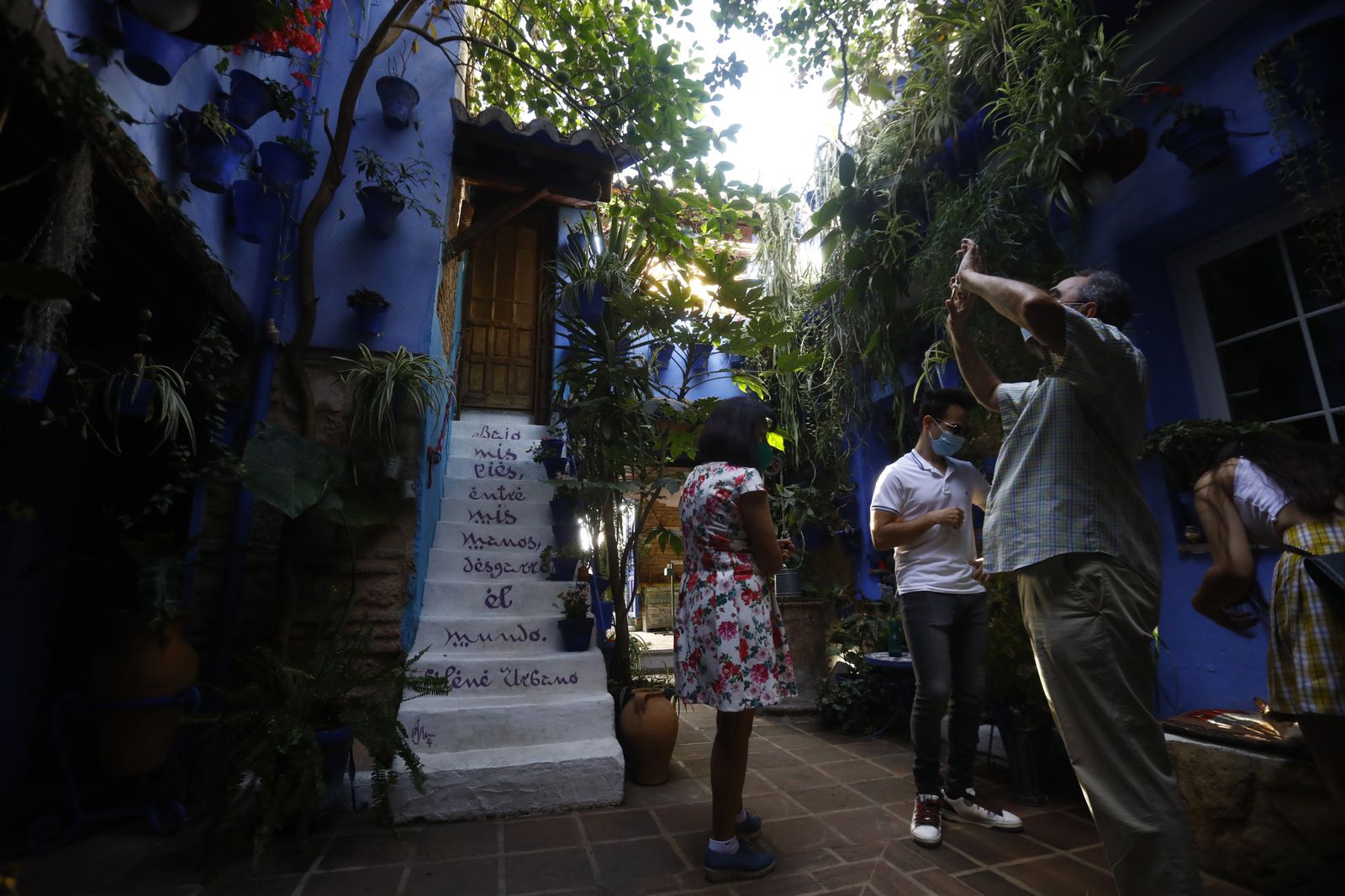 Un recorrido en fotografías por los Patios de Córdoba un domingo de otoño