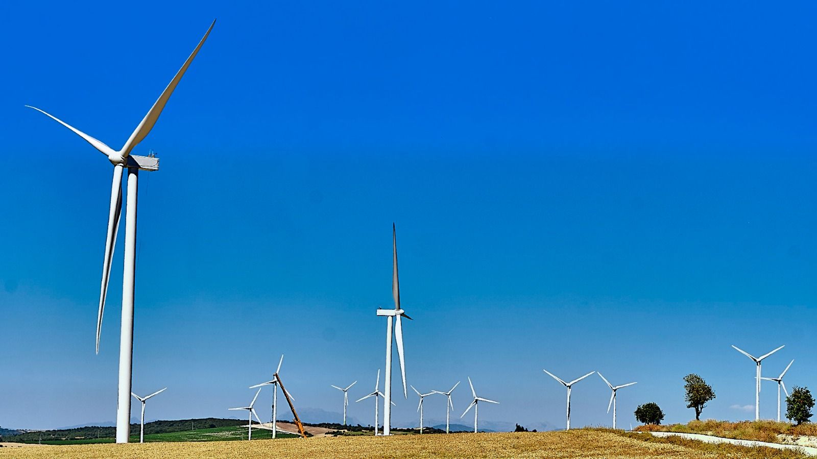Un parque eólico ubicado en el municipio gaditano de Puerto Real.
