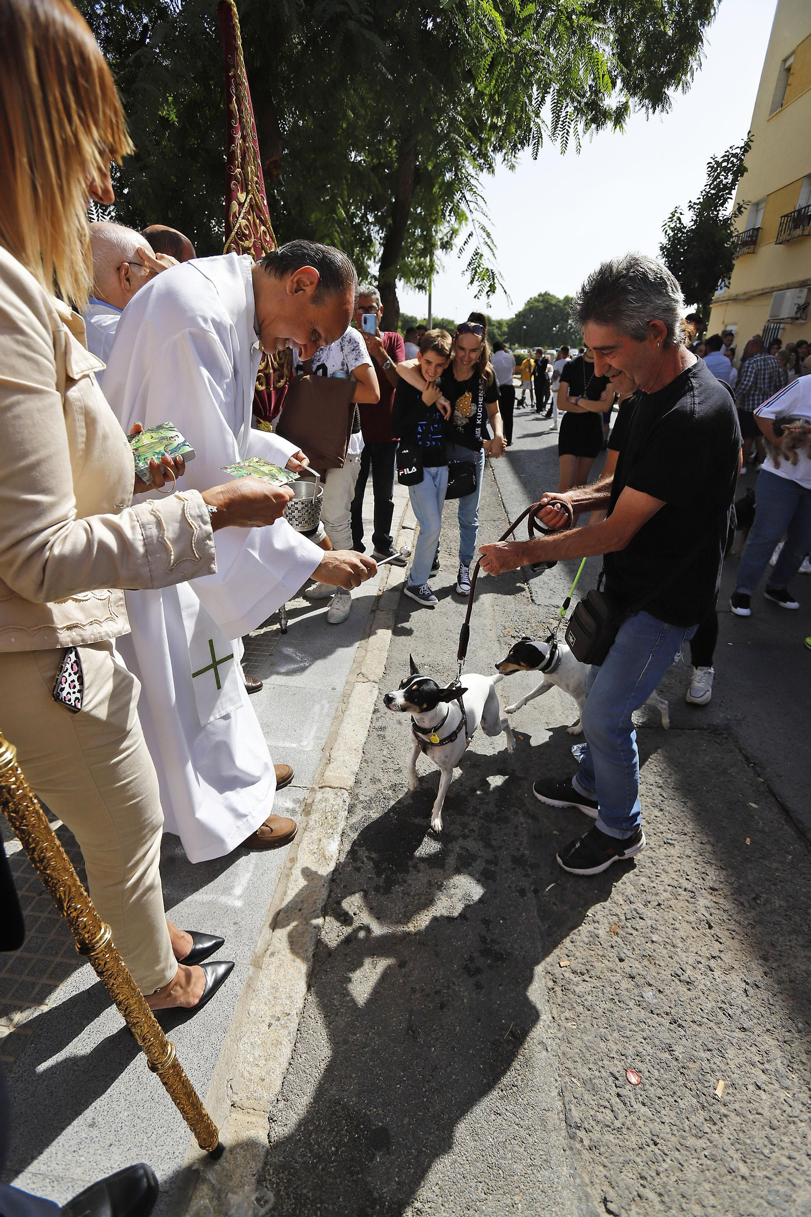 Imágenes de la procesión de San Francisco de Asís por las calles de Pérez Cubillas y bendición de animales y plantas