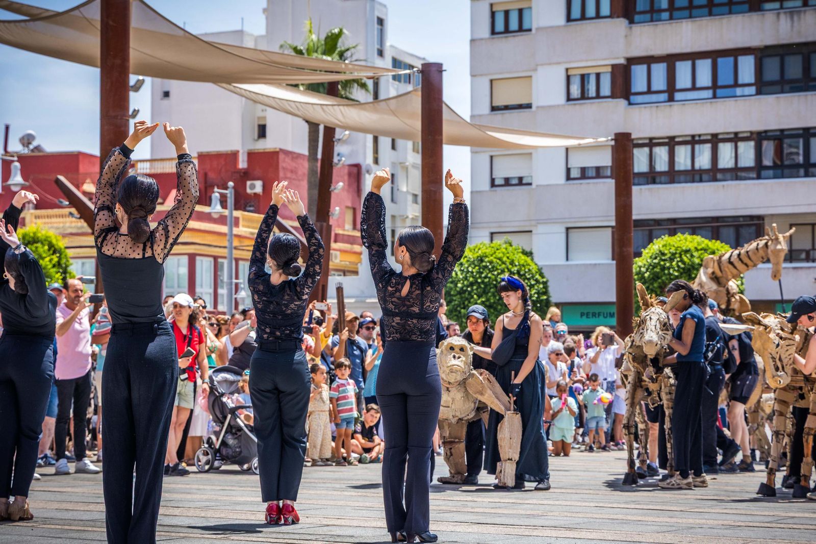 Las imágenes de 'La estampida' en San Fernando