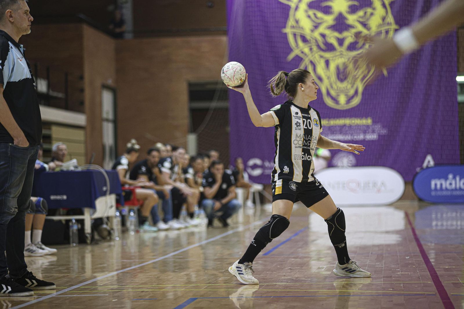 Costa del Sol-Caja Rural Aula Valladolid: Una lección de pundonor (33-29)