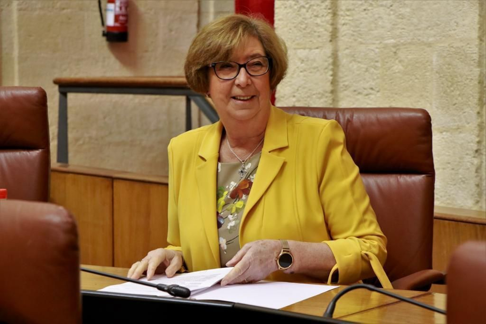 La concejala de Vox en el Ayuntamiento de Estepona, Ana Gil.