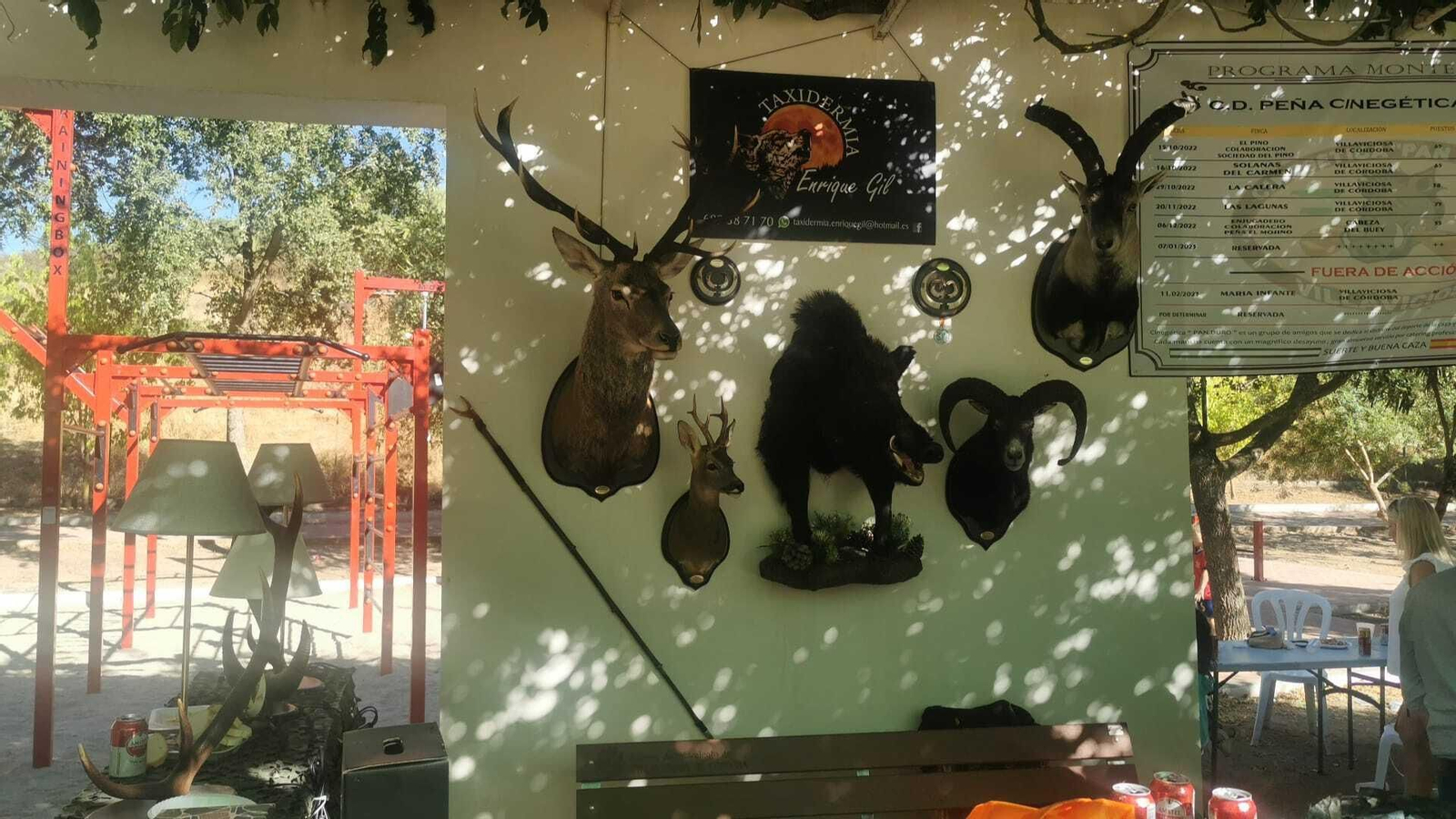 La XX concentración de rehalas de Villaviciosa de Córdoba, en imágenes