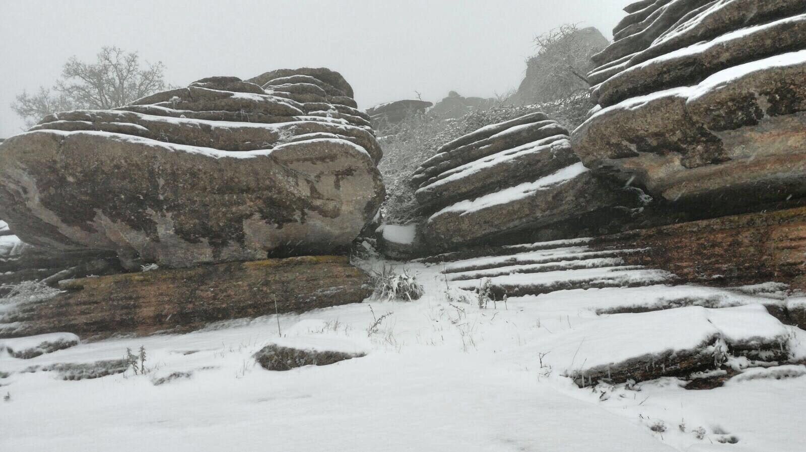 La nevada en el interior de Málaga, en imágenes
