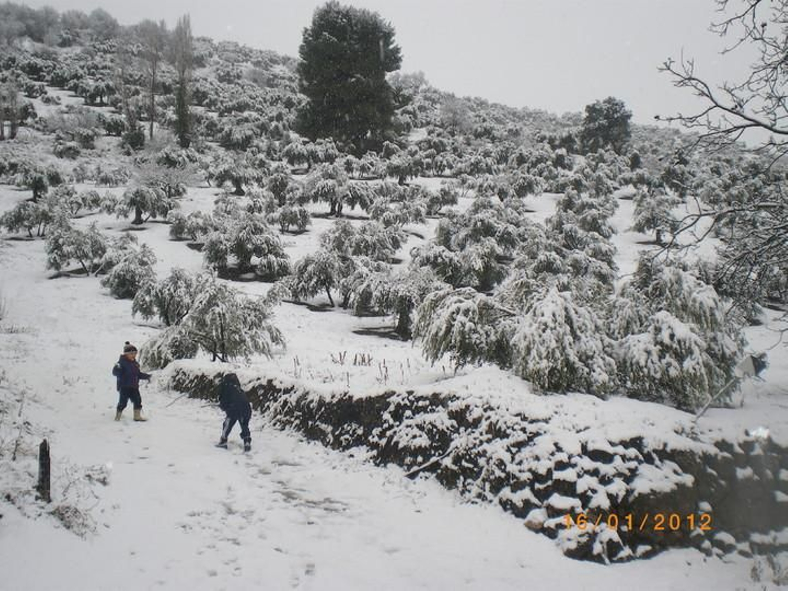 La Sierra Sur en blanco, en Valdepeñas de Jaén. La Sierra Sur en blanco, en Valdepeñas de Jaén.