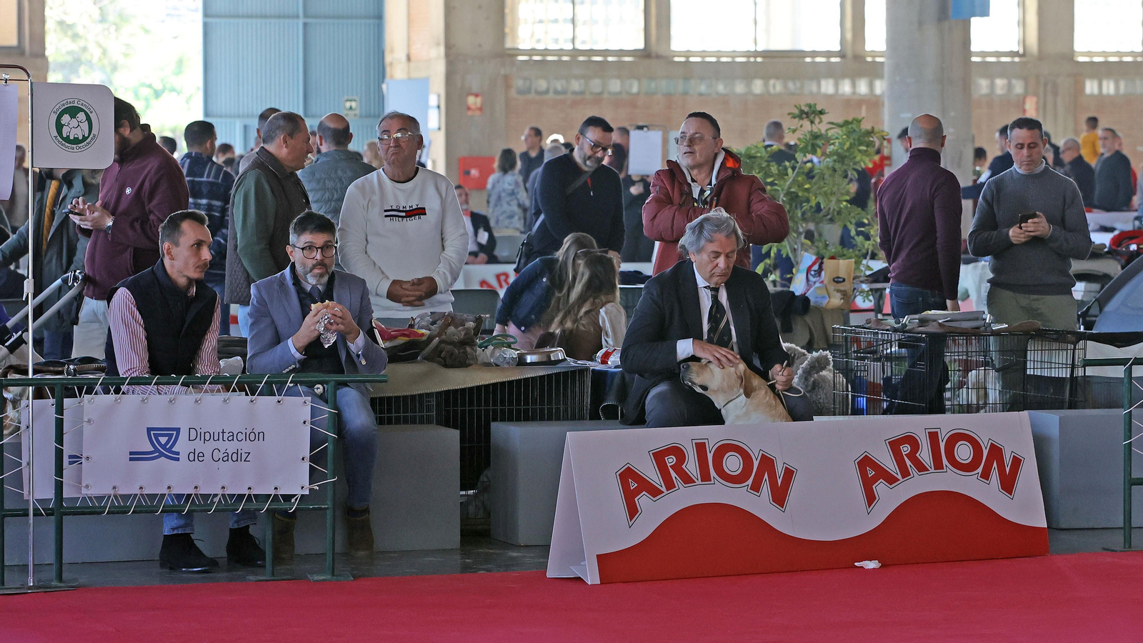 Imágenes de la 49ª edición de la Exposición Nacional Canina y la 25ª edición de la Exposición Internacional Canina en IFECA Jerez