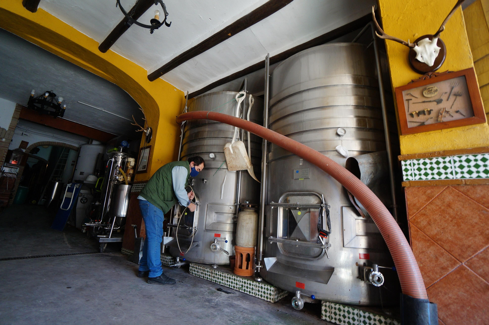 Un recorrido en fotografías por el vino nuevo de Moriles