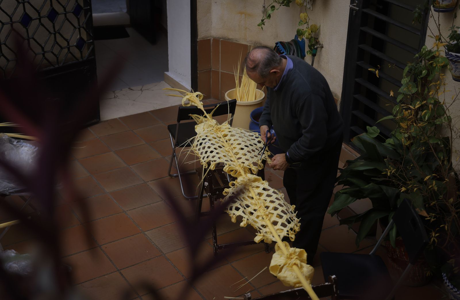 La elaboración de palmas rizadas en la Divina Pastora, todas las imágenes