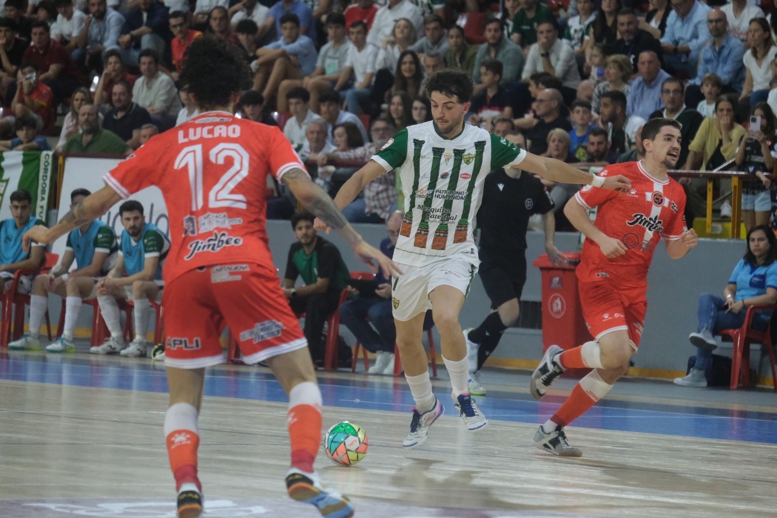 Las mejores fotos del Córdoba Futsal - Jimbee Cartagena en Vista Alegre