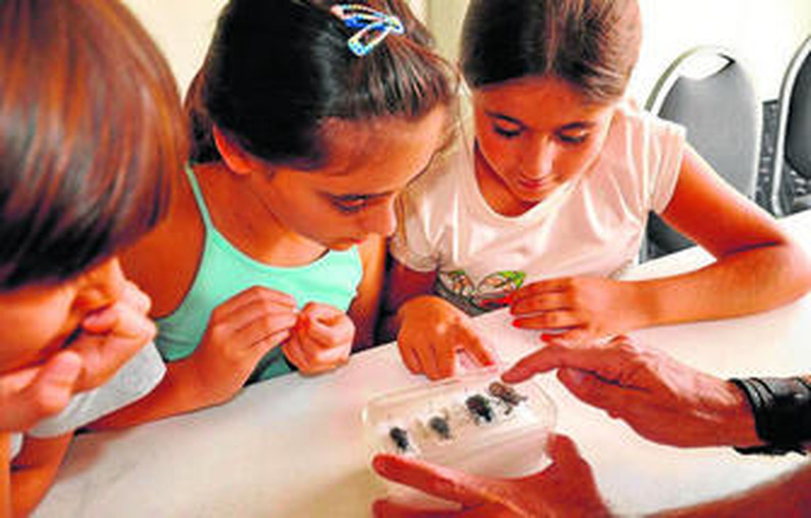 Un grupo de niños durante la celebración de una edición anterior de 'Insectilandia'.