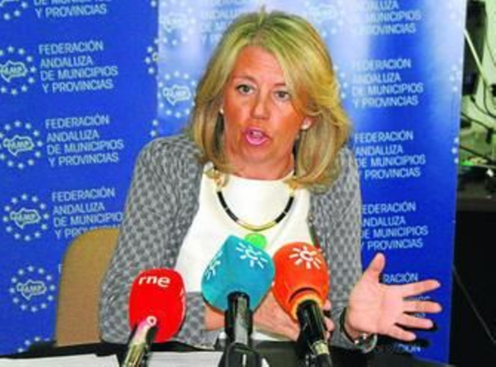 Ángeles Muñoz, presidenta de la FAMP, ayer en rueda de prensa.