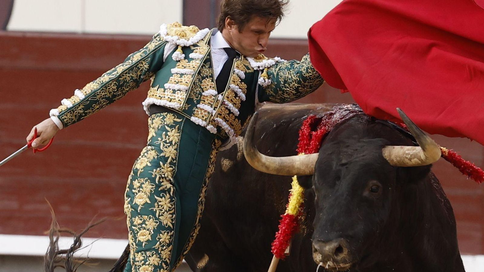 El envío de Alcurrucén dio un garbanzo muy negro, el primero, y fue desigual de hechuras