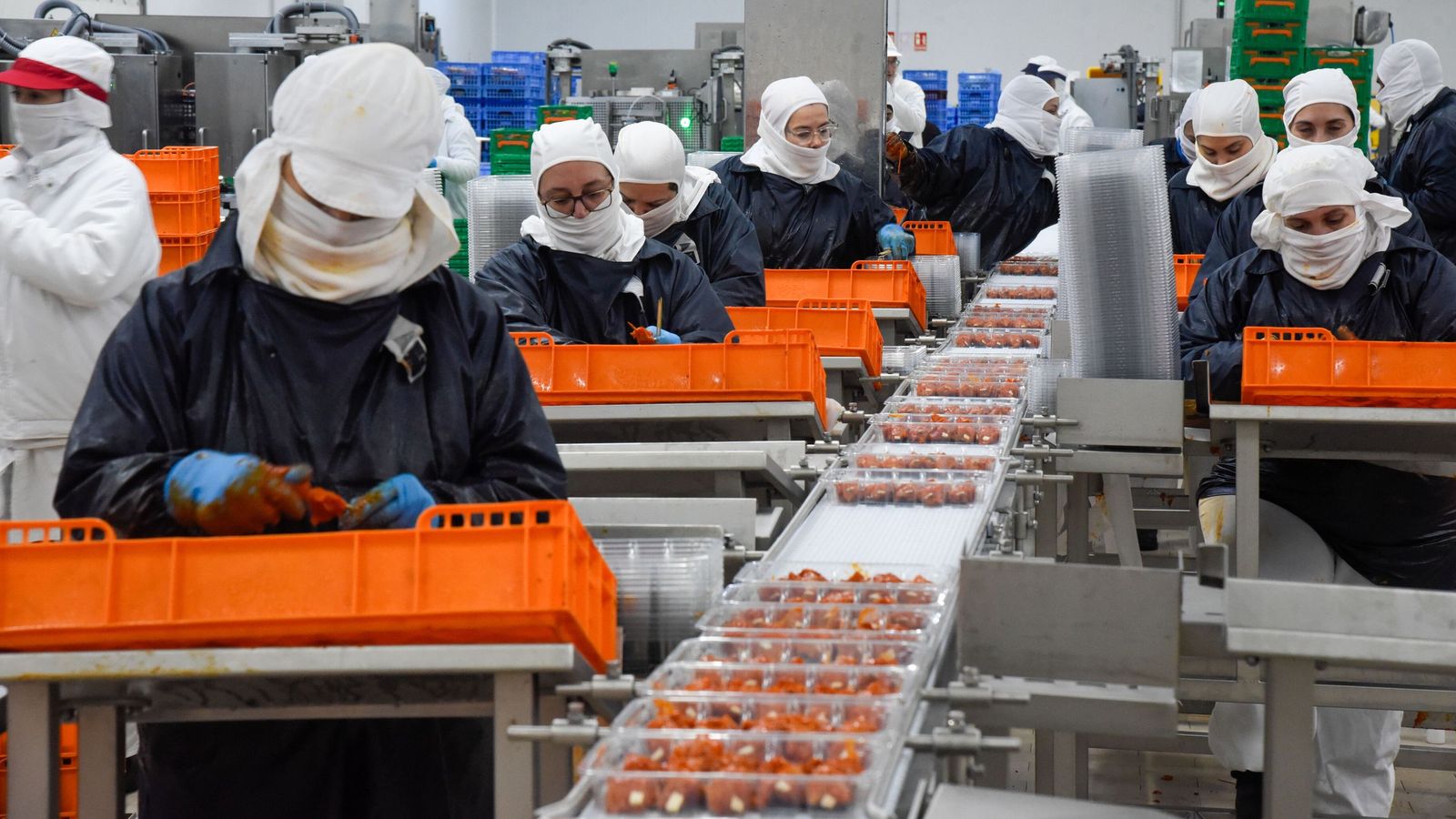 Preparación de pinchos en la sede de Aviserrano en El Viso del Alcor