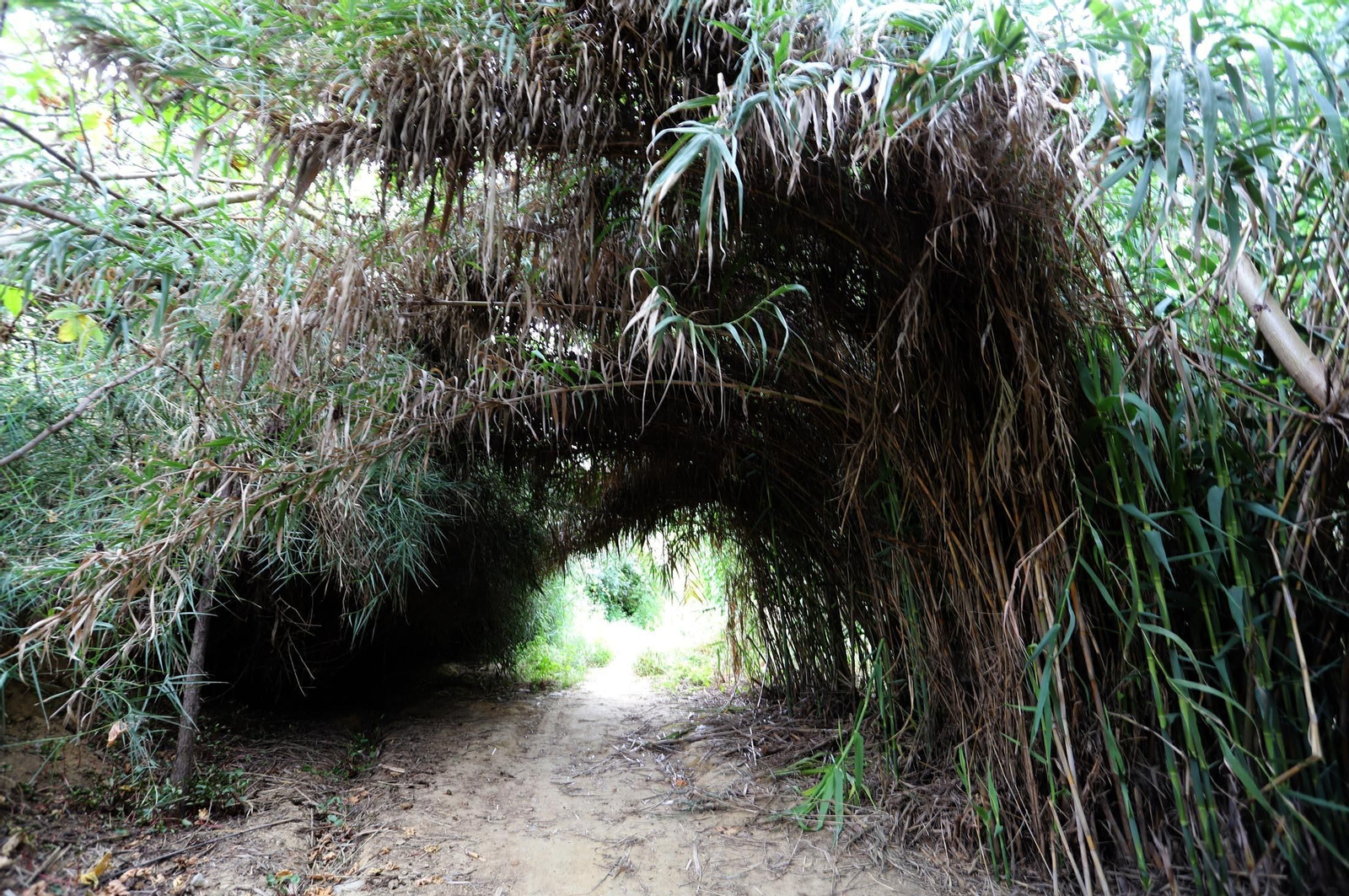 Imágenes del estado de abandono en el que se encuentra la Fuente Vieja y su entorno