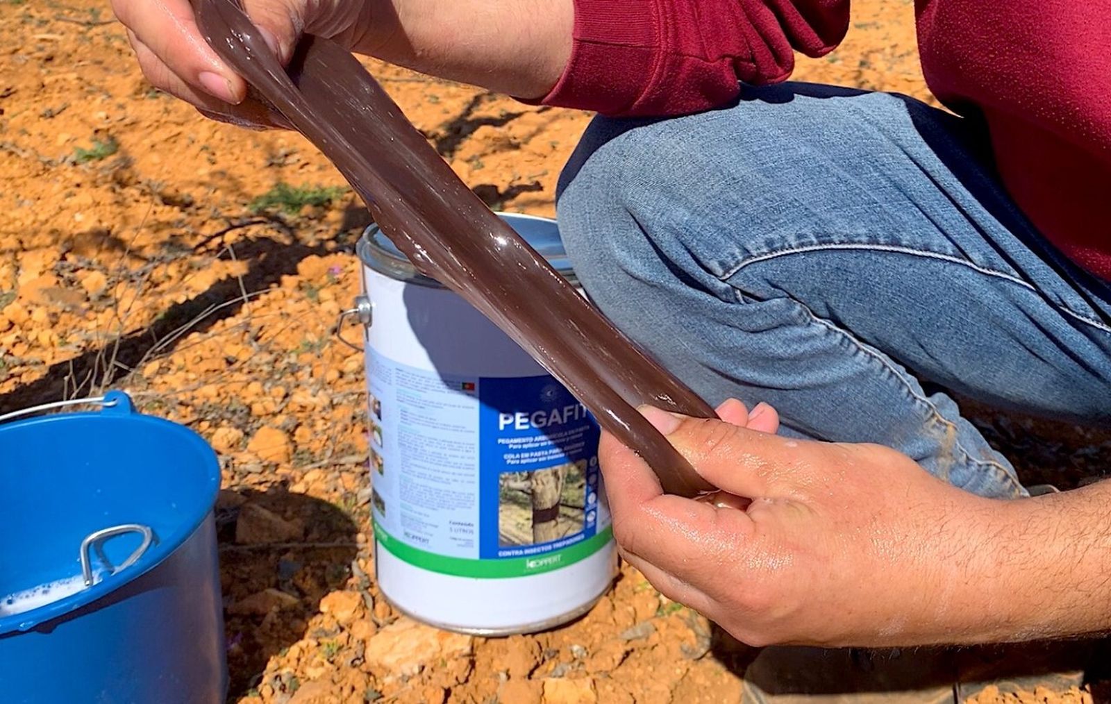 Pegafit de Koppert ya cuenta con la certificación para su uso en agricultura ecológica