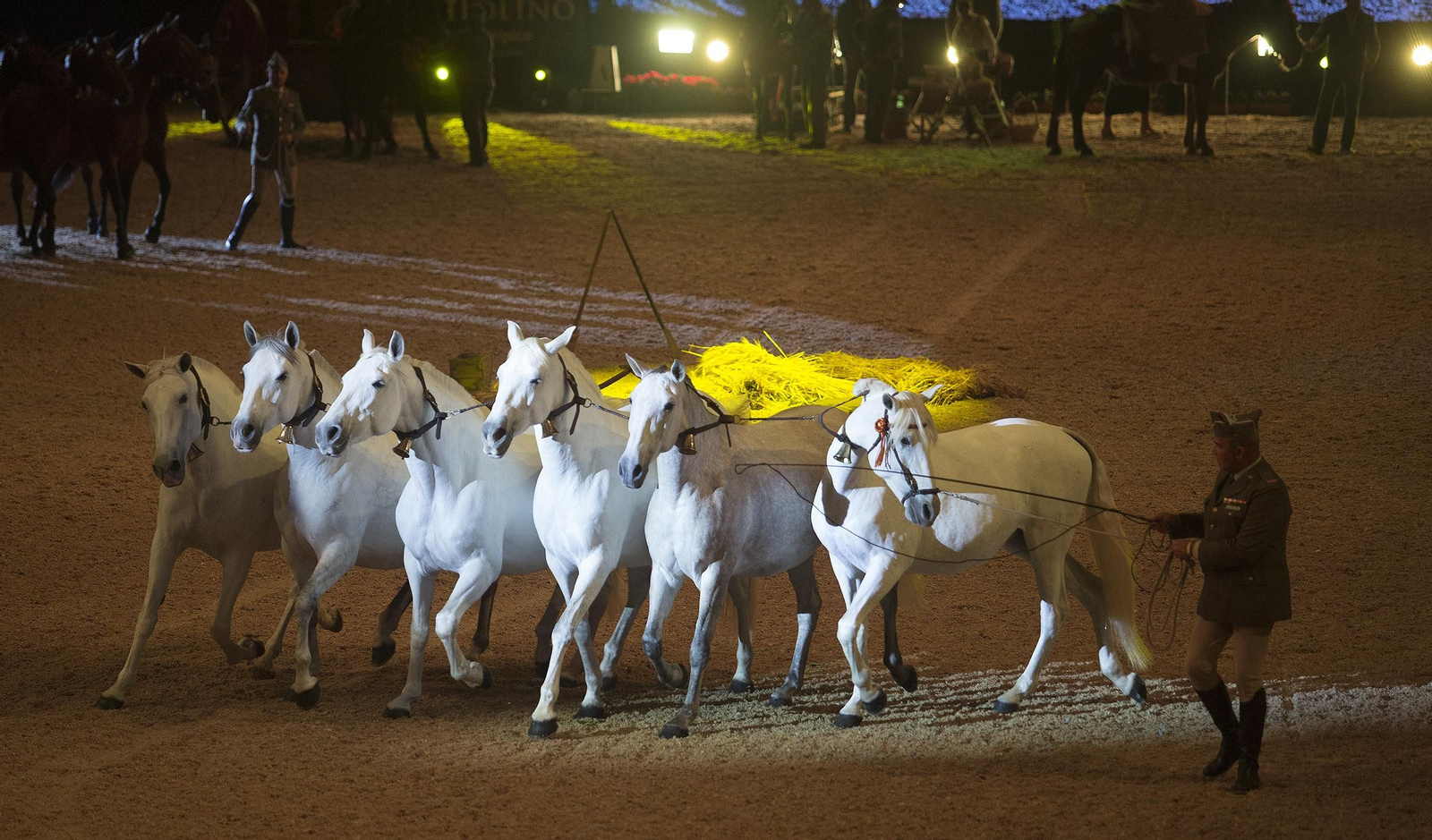 La inauguración de Sicab 2018, en imágenes