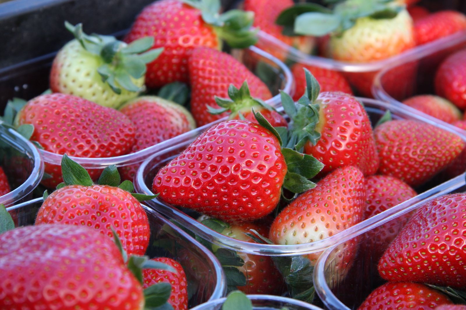 Tarrinas de fresas.