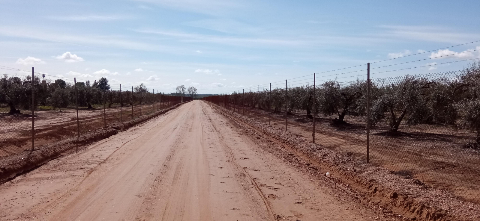 Las imágenes de la Ruta Azul en Bollullos de la Mitación