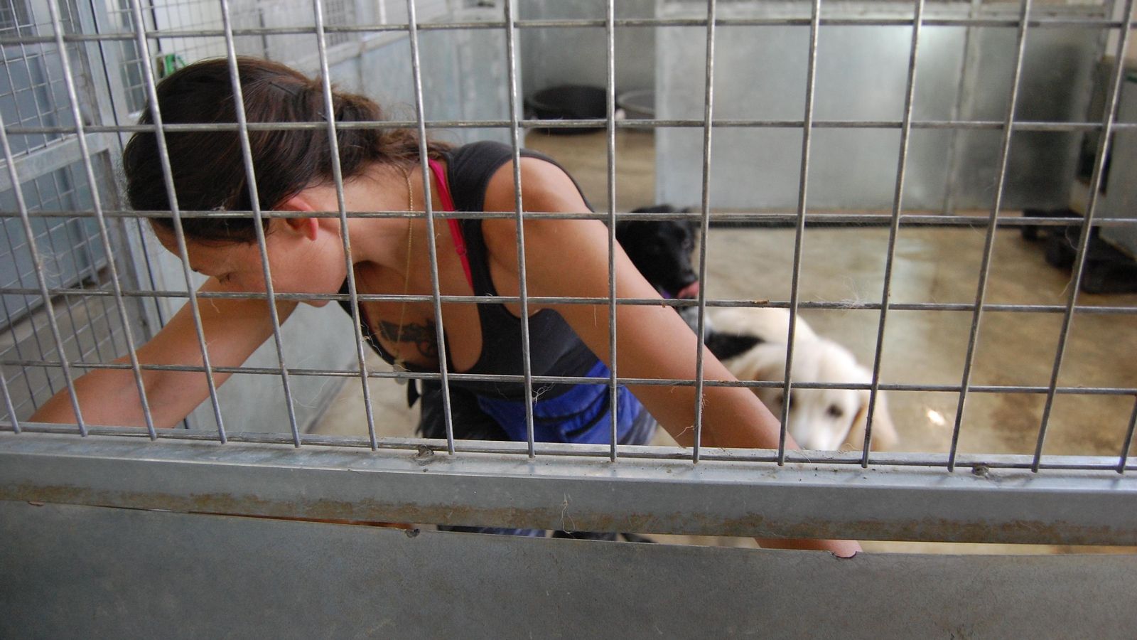 Una empleada muestra una de las jaulas rotas.