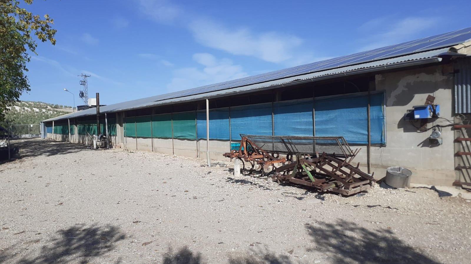 Instalaciones de ganadería intensiva de pollos de Cristóbal Granero.