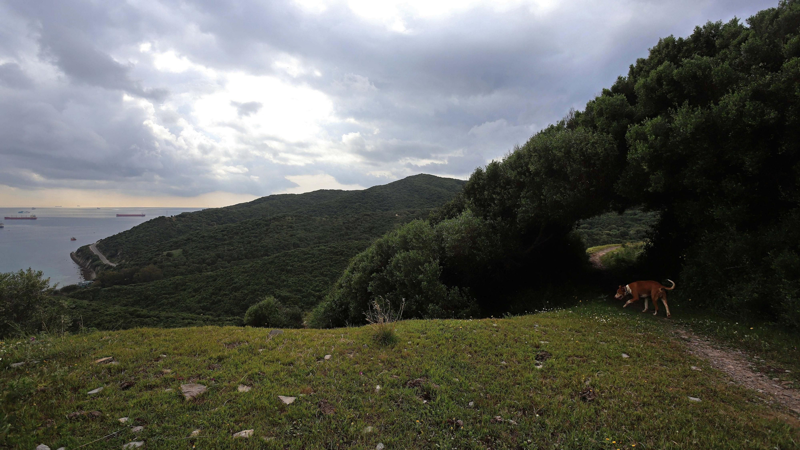 Fotos de la ruta de Fuente Urate en Algeciras