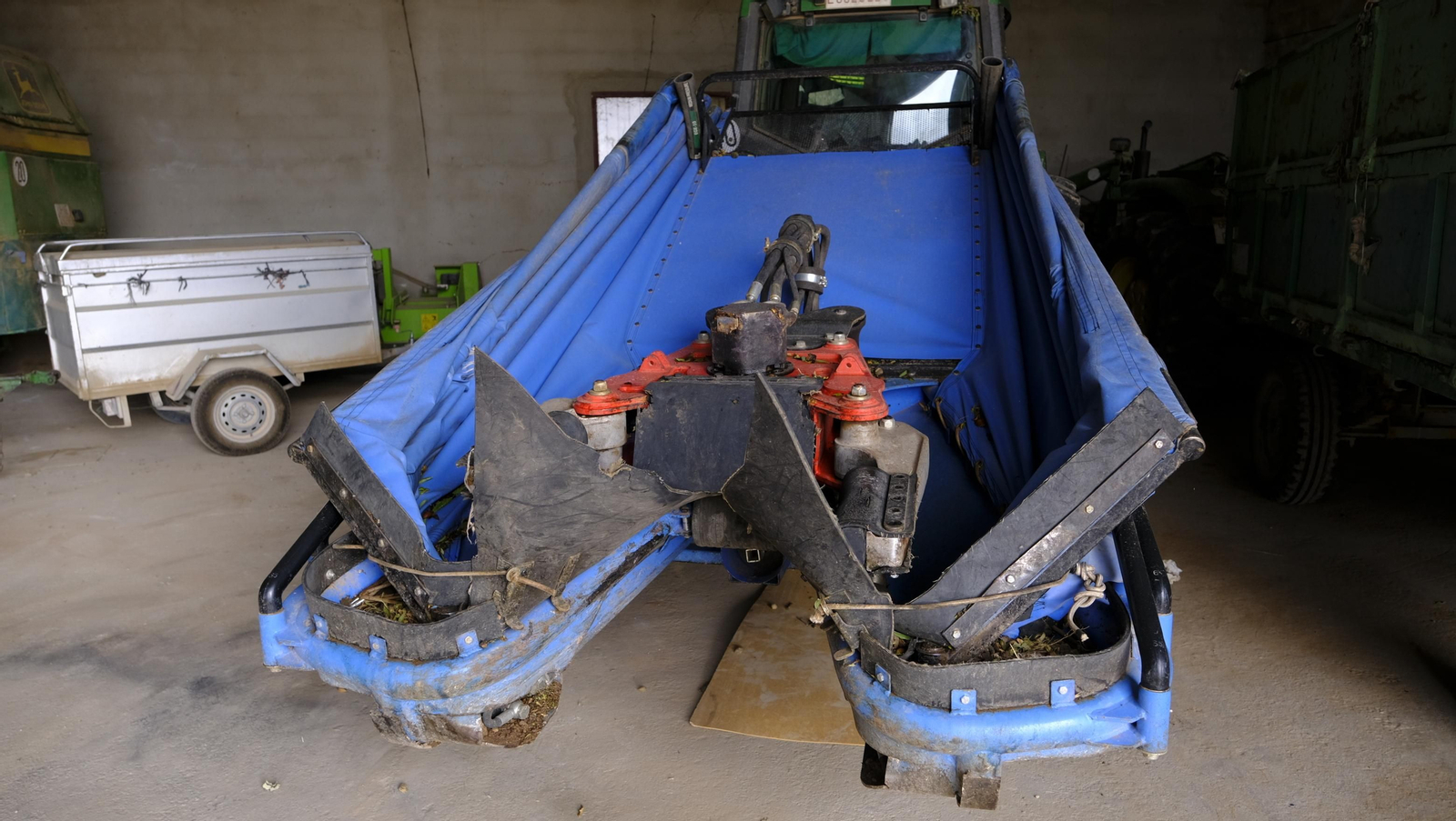 Imágenes de la almendra ecológica de Chirivel