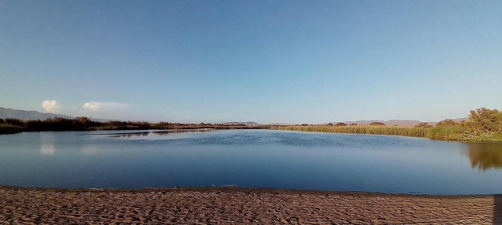 El humedal, en Cabo de Gata