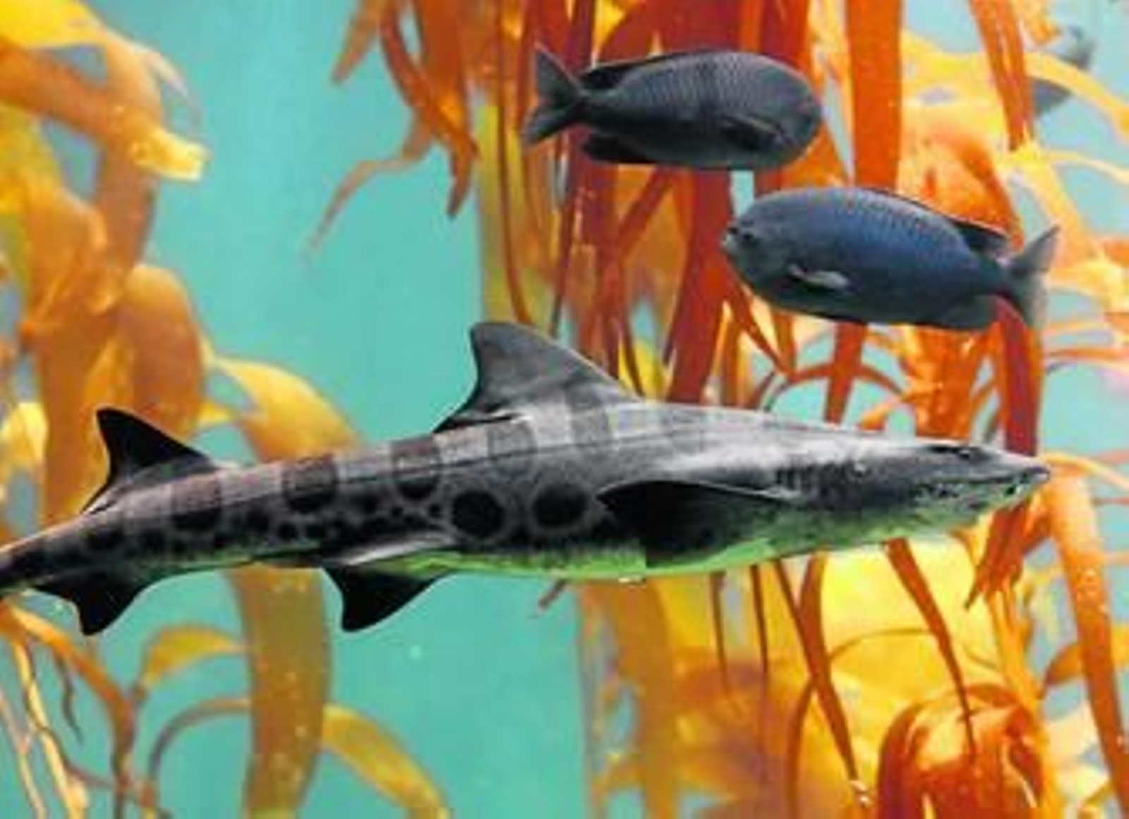 Miles de animales de todo el mundo esperan a los visitantes en el Parque de las Ciencias.