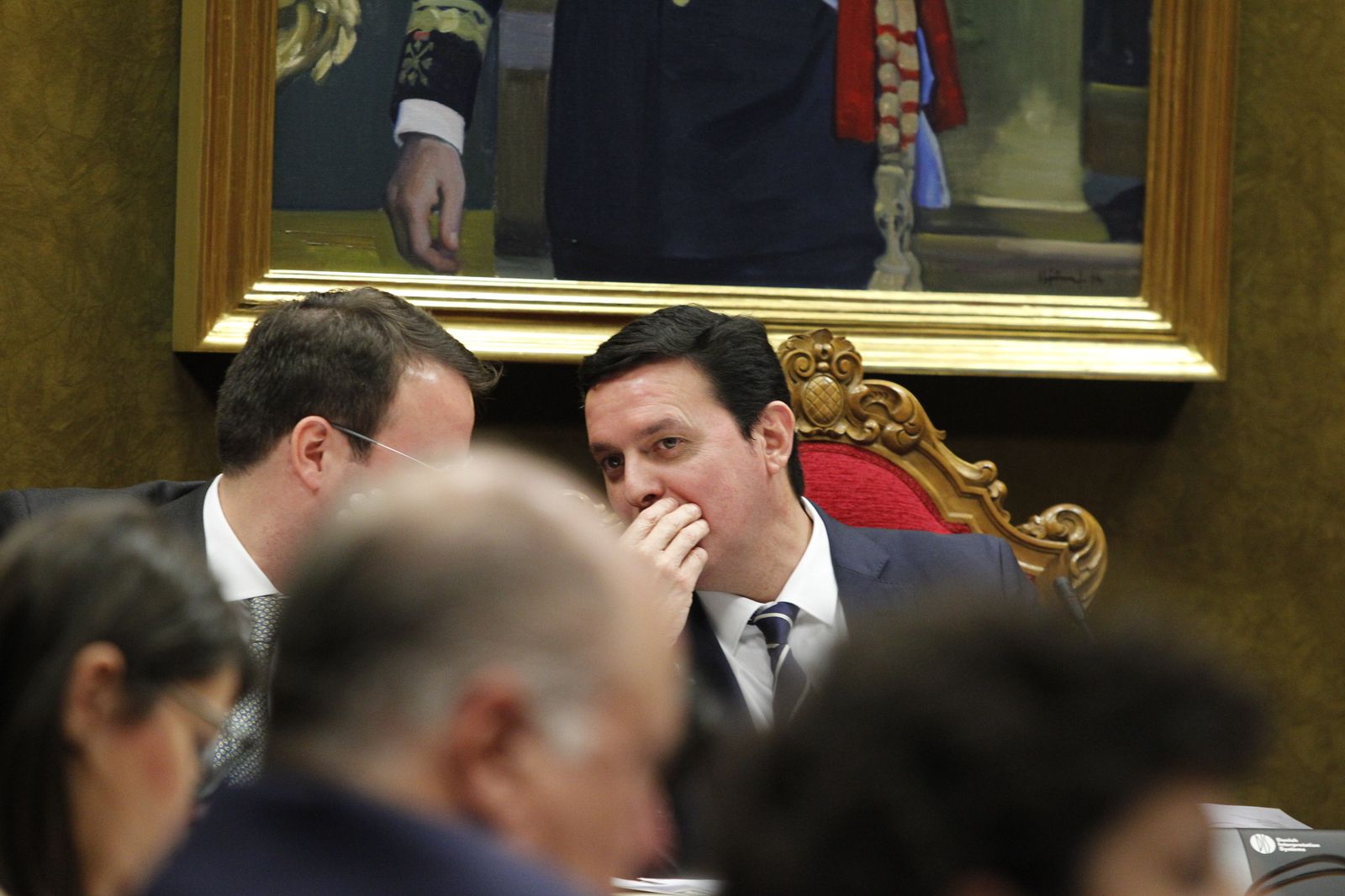 Fotogalería Pleno Ordinario Diputación de Almería