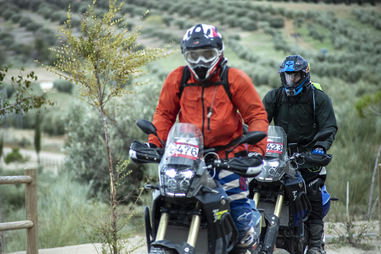 ¿Estuviste en la tercera edición de la ruta Olivobook? Búscate