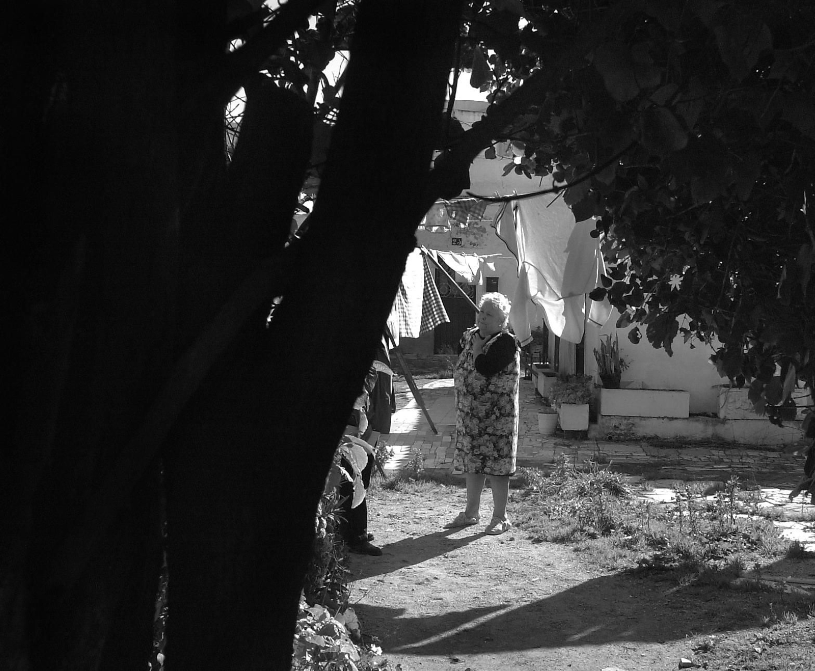 Un siglo de transformación en el barrio de San José (vulgo Los Chinchorros) Un siglo de transformación en el barrio de San José (vulgo Los Chinchorros)