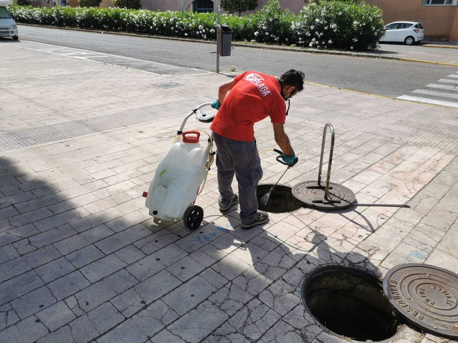 Trabajos de desinsectación en la barriada Río San Pedro