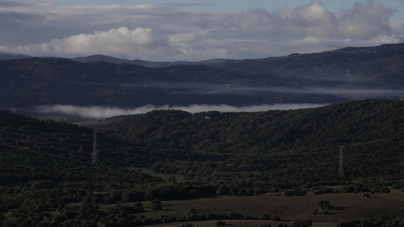 Sendero de la finca Murta en Los Barrios