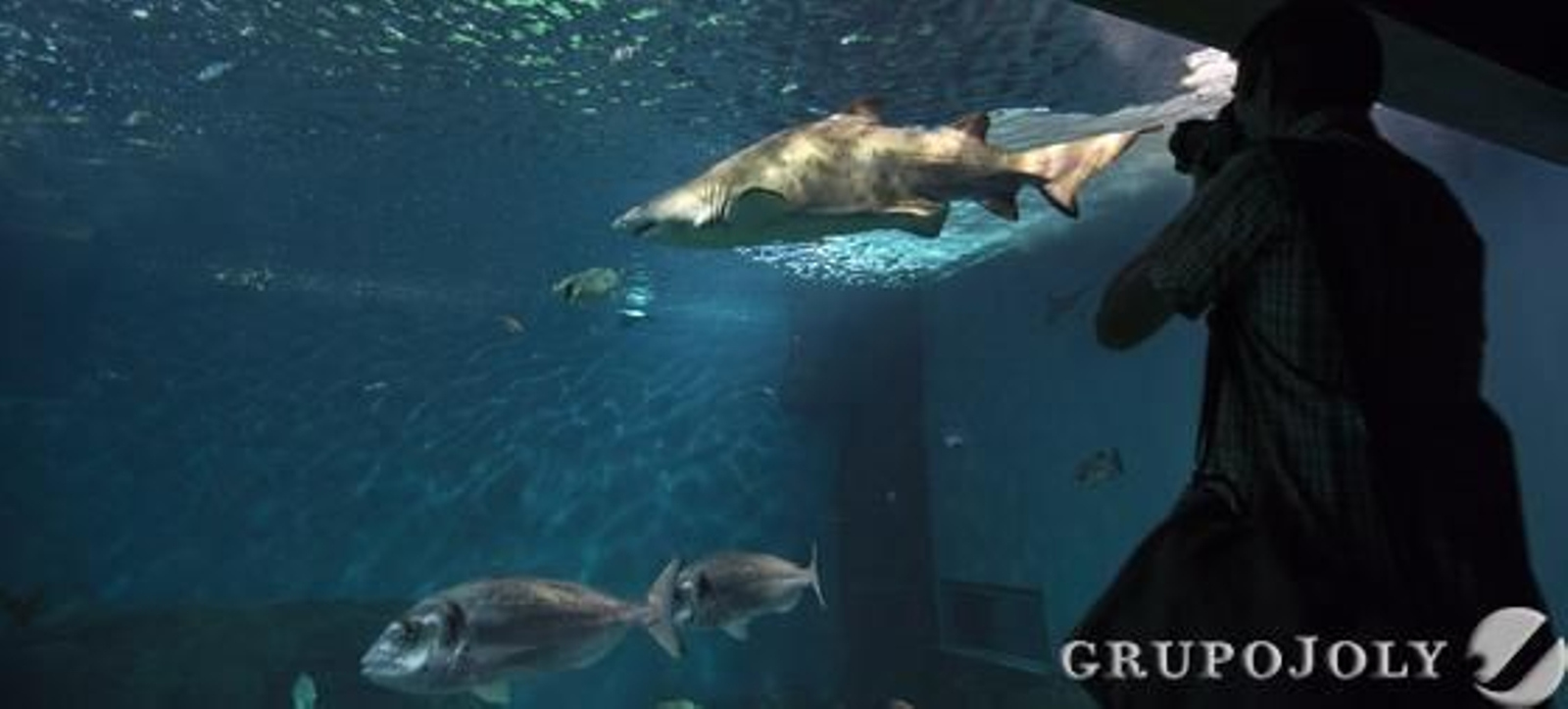 Foto: Antonio Pizarro