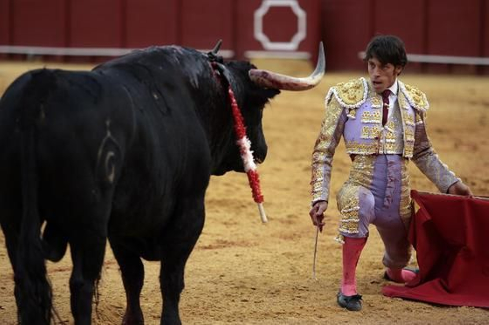 Antonio Nazaré, cara a cara con el quinto toro de la tarde.

Foto: Juan Carlos Muñoz