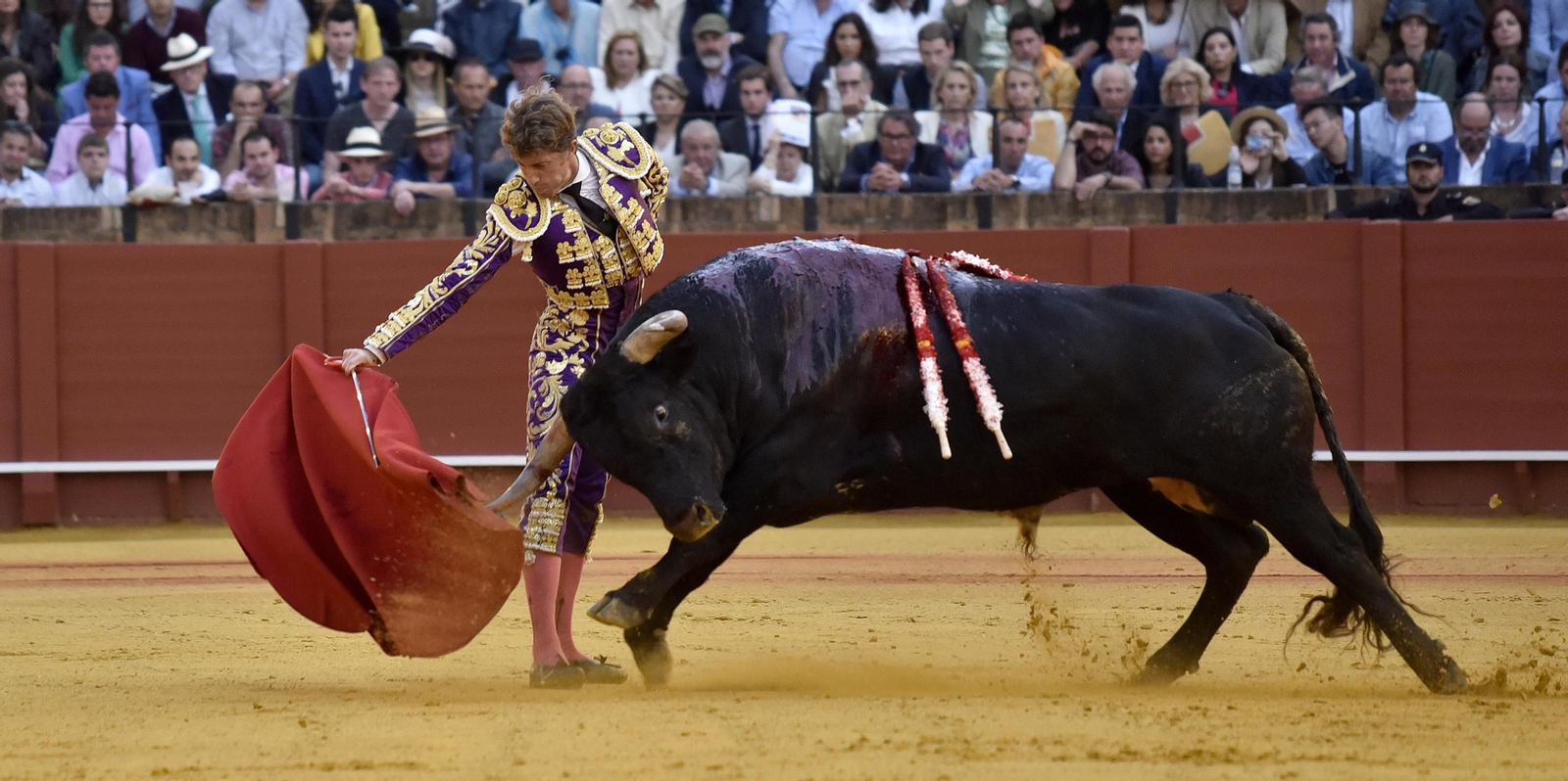 Las imágenes de la 14ª de abono de la Maestranza