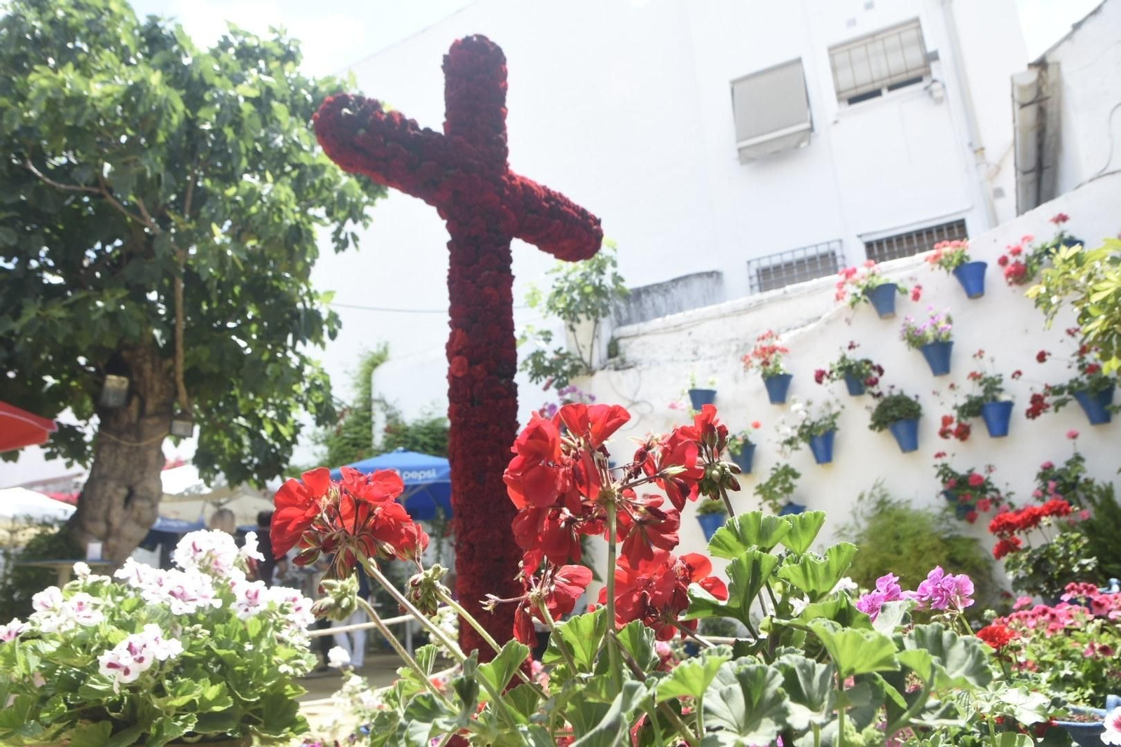 Las Cruces de Mayo ganadoras del concurso de 2019, en imágenes