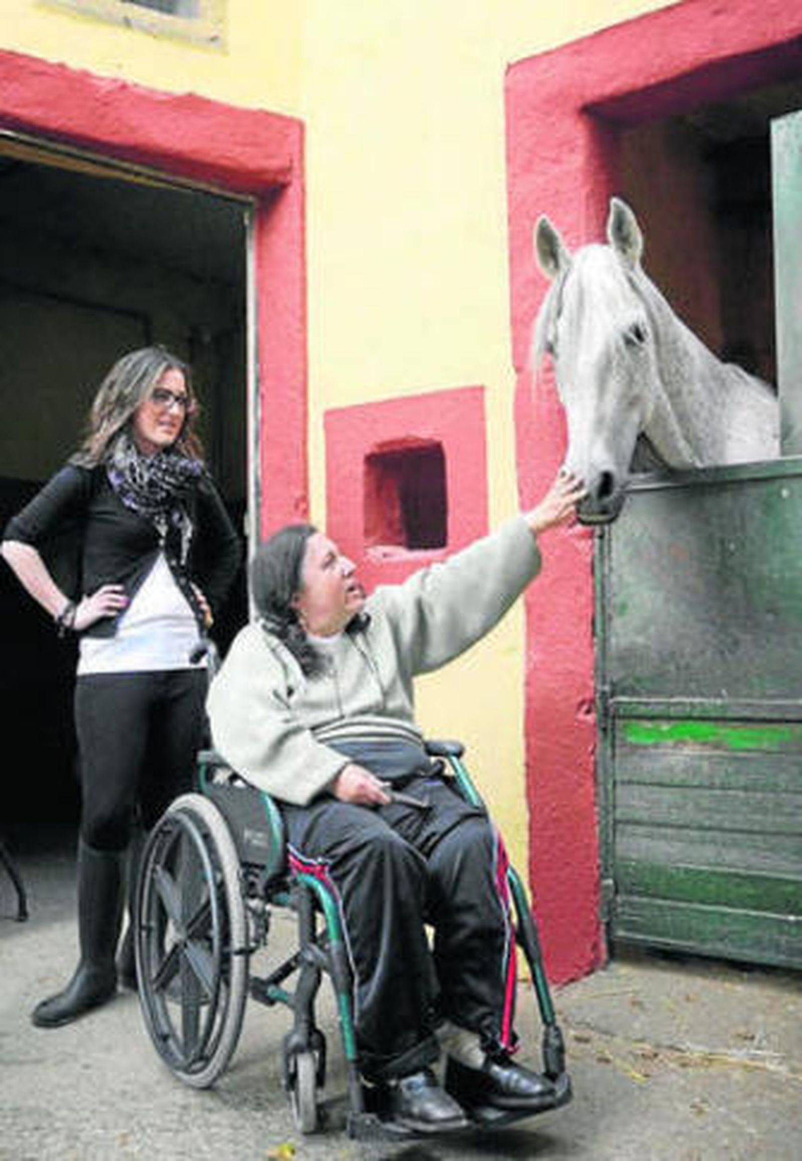 Los caballos, terapia física y psíquica