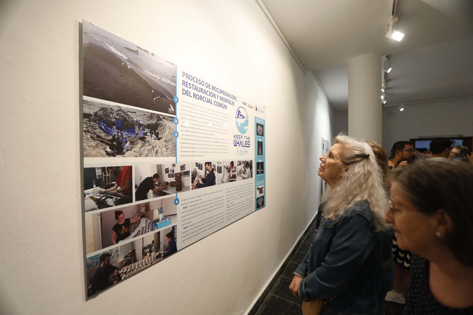 Fotos de la exposición del esqueleto de la ballena Galadriel